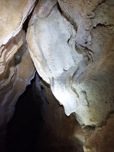 Barbirey-sur-Ouche - Grotte du bois de Ruère - entrée cavité photo 3, Aurélien Bloch.jpg
Fichier manquant